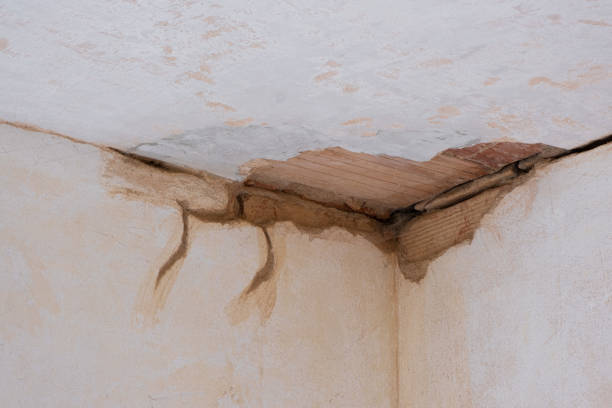 Water damage restoration process in Spring Valley Lake, CA