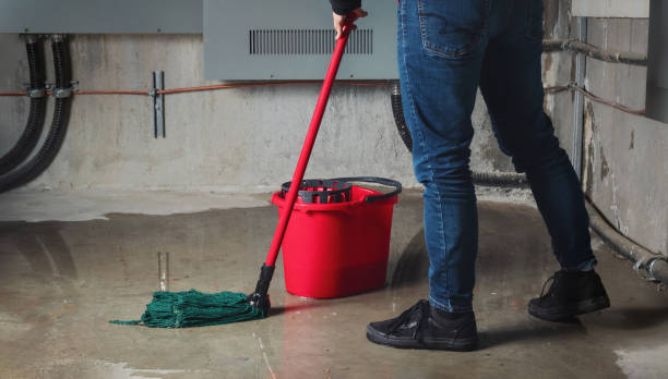 Best Flood restoration services  in Spring Valley Lake, CA