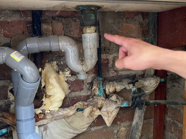 Trusted Spring Valley Lake, CA Water damage restoration Experts