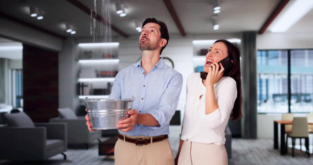 Best Ceiling water damage repair  in Spring Valley Lake, CA