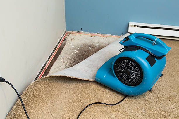 Best 24/7 water damage repair  in Spring Valley Lake, CA
